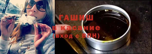 гашик Алексин