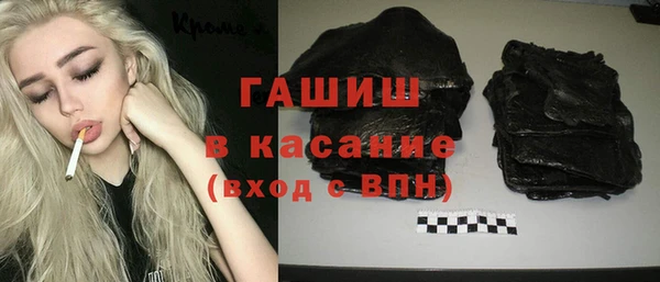гашик Алексин