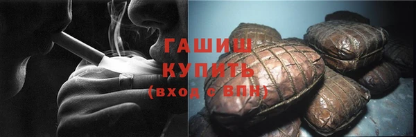 гашик Алексин