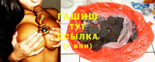гашик Алексин