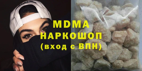 гашик Алексин